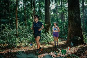 BIB: 
                            <button type="button" onclick="openModal(26131061)" class="btn btn-primary btn-sm float-right btn-popup" data-toggle="modal" data-target=".modal-high-quality">
                        <i class="fas fa-shopping-cart"></i> Add to Cart
                    </button>
                                            <button type="button" onclick="isThisMe(26131061, true)" class="btn btn-success btn-sm float-right btn-popup btn-isme hidden" data-toggle="tooltip" data-placement="bottom" title="นี่คือรูปของคุณใช่ไหม คลิกที่นี่เพื่อเอาเข้าอัลบั้ม">
                        <i class="fas fa-plus"></i> Add to album
                    </button>
                    <button type="button" onclick="isThisMe(26131061, false)" class="btn btn-warning btn-sm float-right btn-popup btn-isnotme hidden">
                        <i class="fas fa-ban"></i> Remove from album
                    </button>